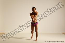 Elmer - Traditional Korean Art